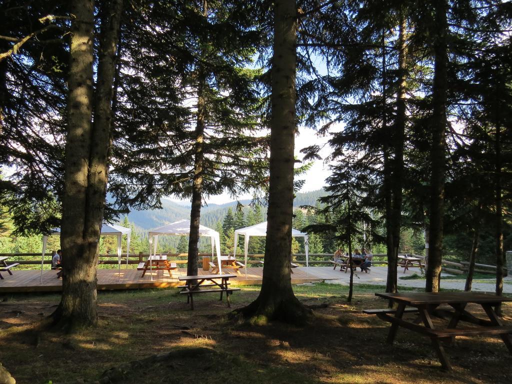 Jura Hotels Ilgaz Mountain Resort מראה חיצוני תמונה