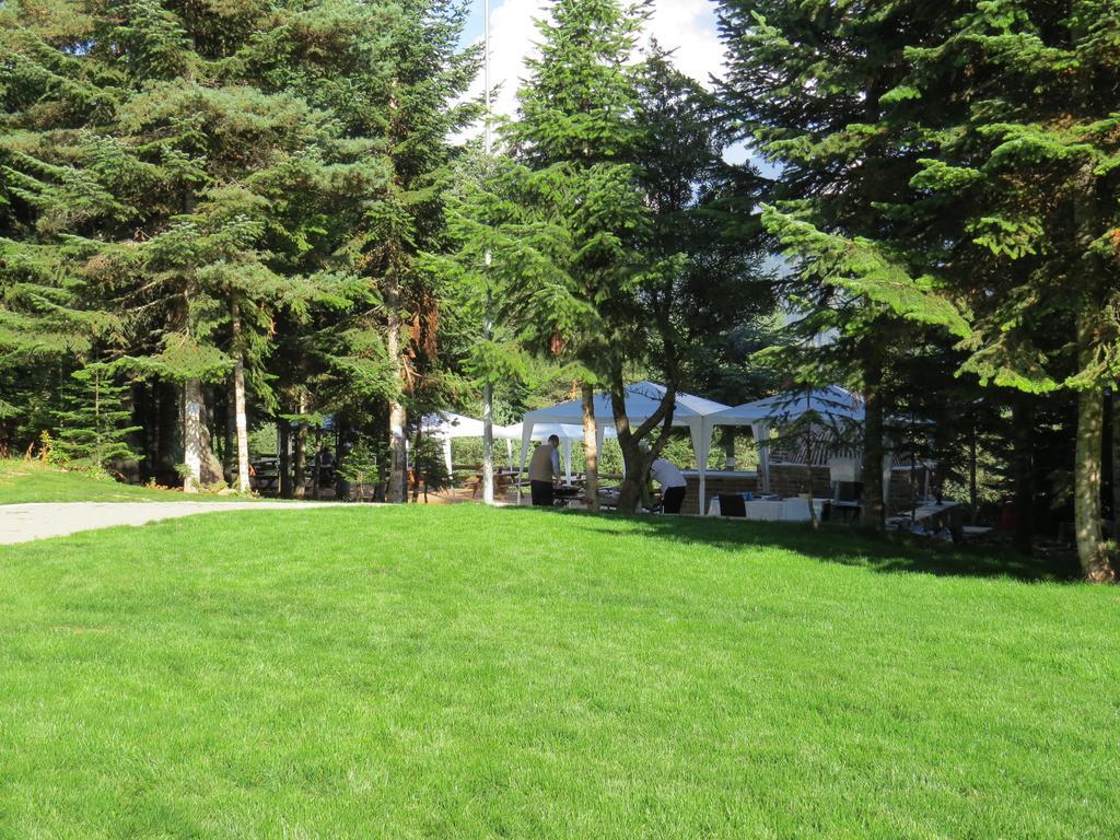 Jura Hotels Ilgaz Mountain Resort מראה חיצוני תמונה
