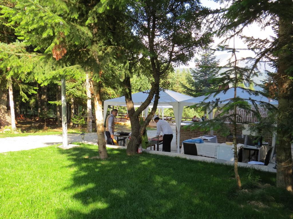 Jura Hotels Ilgaz Mountain Resort מראה חיצוני תמונה