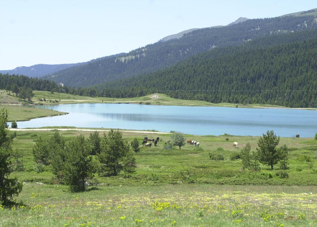 Jura Hotels Ilgaz Mountain Resort מראה חיצוני תמונה