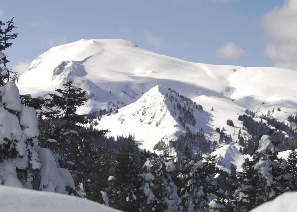 Jura Hotels Ilgaz Mountain Resort מראה חיצוני תמונה