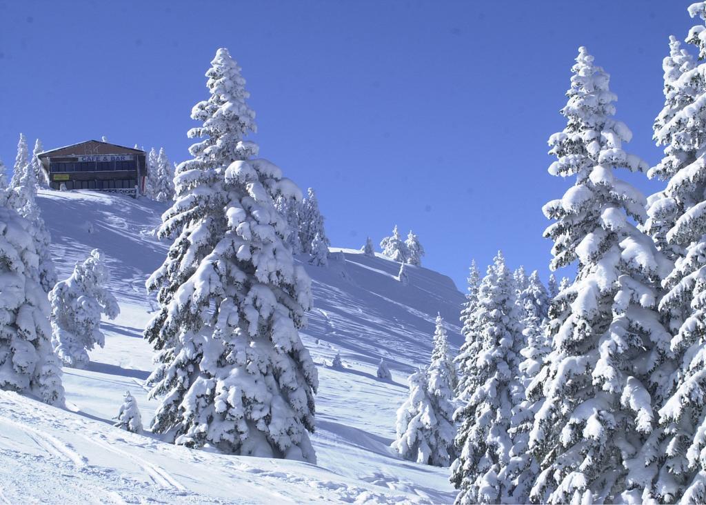 Jura Hotels Ilgaz Mountain Resort מראה חיצוני תמונה