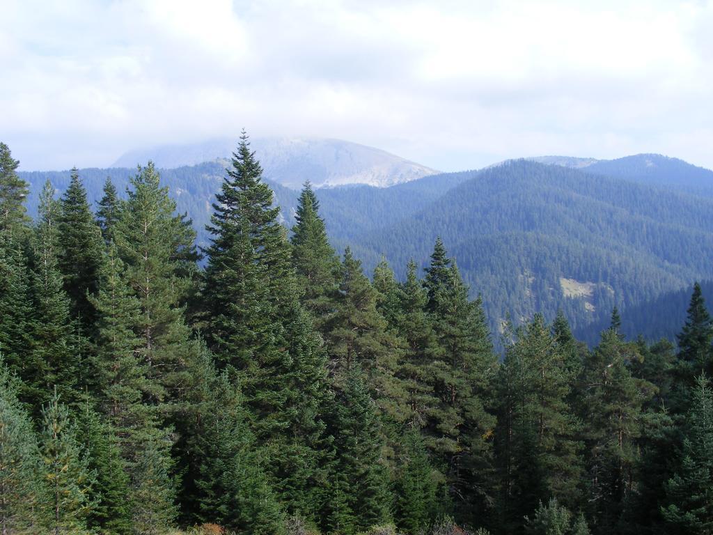 Jura Hotels Ilgaz Mountain Resort מראה חיצוני תמונה