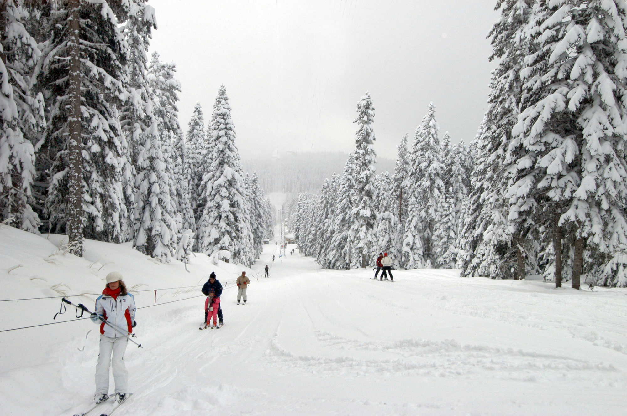 Jura Hotels Ilgaz Mountain Resort מראה חיצוני תמונה